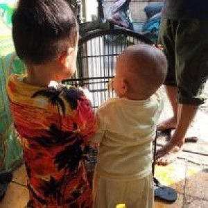 widiani profile icon