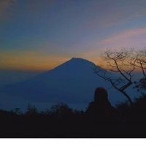 Hersi Handayani profile icon