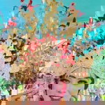 Septii Anni Asrofi profile icon