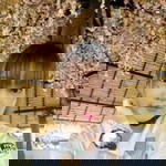 เจ้าสาว หงส์ทอง profile icon