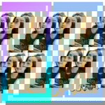 Chaiyakhwan Sukthat profile icon