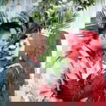 دينا أودريا profile icon