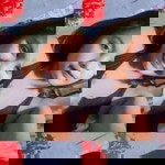 Ashley Burdeos II profile icon