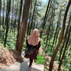 Dewi Amaliya profile icon