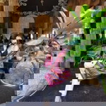 Kamonwan Srisuk Panitvitidkul profile icon