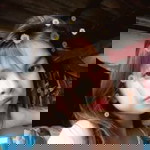 Kamonrat Lapayaporn profile icon