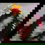 มิ้ มายด์ profile icon