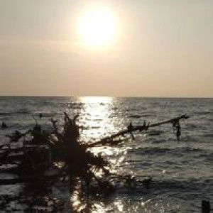 Zue Zuelaika profile icon