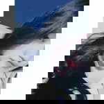 Putri Nabila profile icon