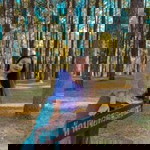 Pichaya Hathaitip profile icon