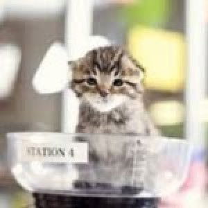 Hidayah Mardar profile icon