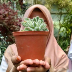 Ainun Nikmah profile icon