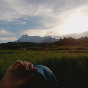 Nrshika Ayub profile icon