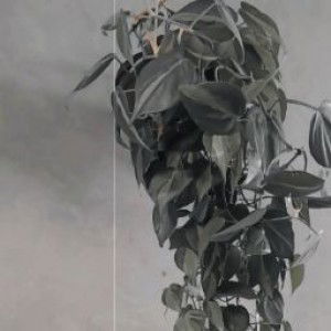 NO NAME profile icon