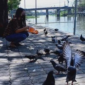 Watcharaporn ToPa profile icon