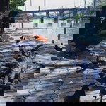 Watcharaporn ToPa profile icon