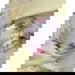 Yulfa Syafa profile icon