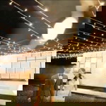 Koh Beo Lin Belinda profile icon