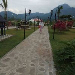 Purwitasari Desty profile icon