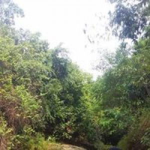 Neng Ndhhy profile icon