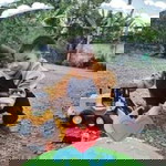 Nalinee Innoy profile icon