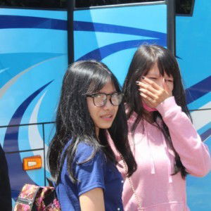 Ana Firnanda profile icon