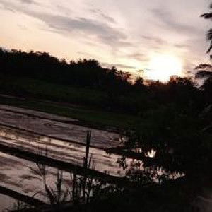 Yulianti Hamid profile icon