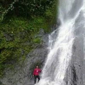 Alfin Tipa Alfin profile icon