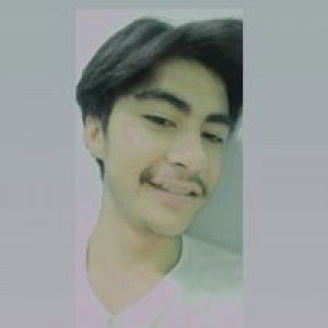 Aung Thi Ha profile icon