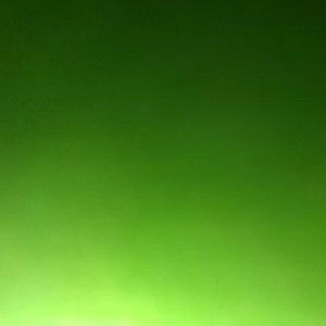 Wita Zuwita profile icon