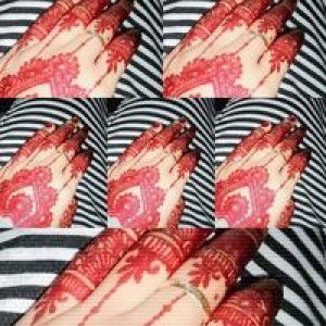 نور كومالا ساري profile icon