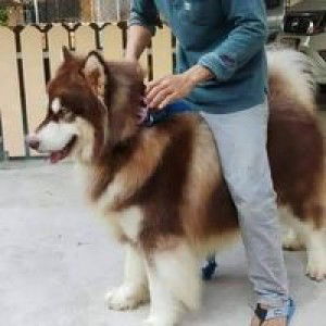 ขวัญอนงค์ ศิริกุลกานต์ profile icon