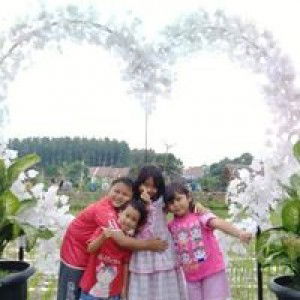 Ana Salistiani profile icon