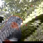 Pornphimon Satsue profile icon