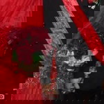 Zeaa Faradisa profile icon