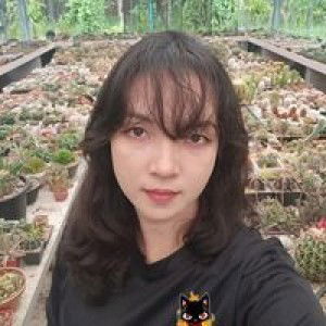 Maesana P profile icon