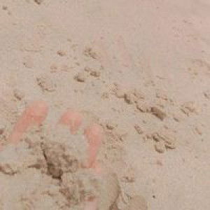 Nur Akmalia profile icon