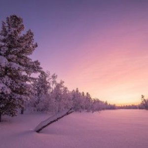 Zahraa Din profile icon