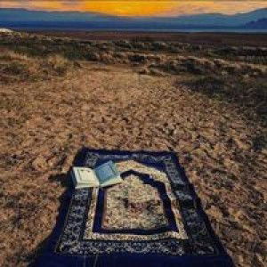 Suny Rifkhatun profile icon