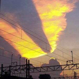 latifah Nurul azmi profile icon