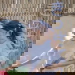 Preawwnc profile icon