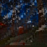 Quwie Yulia profile icon