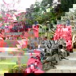 Nur Rachma profile icon