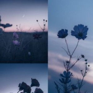 Ummu Rasyidah Farhan profile icon