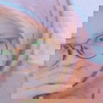 Ikke Fitriya profile icon