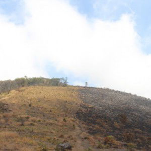 Indria Pratiwi profile icon