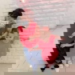Hanisa Dela Cerna Ching profile icon