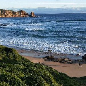 menjadi lebih baik profile icon