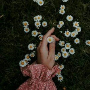 Eri Aderita profile icon