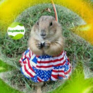 หนูปูน กระดุ๊กกระดิ๊ก (noopoonza) profile icon